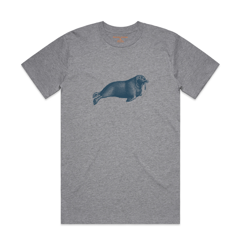 Walrus
