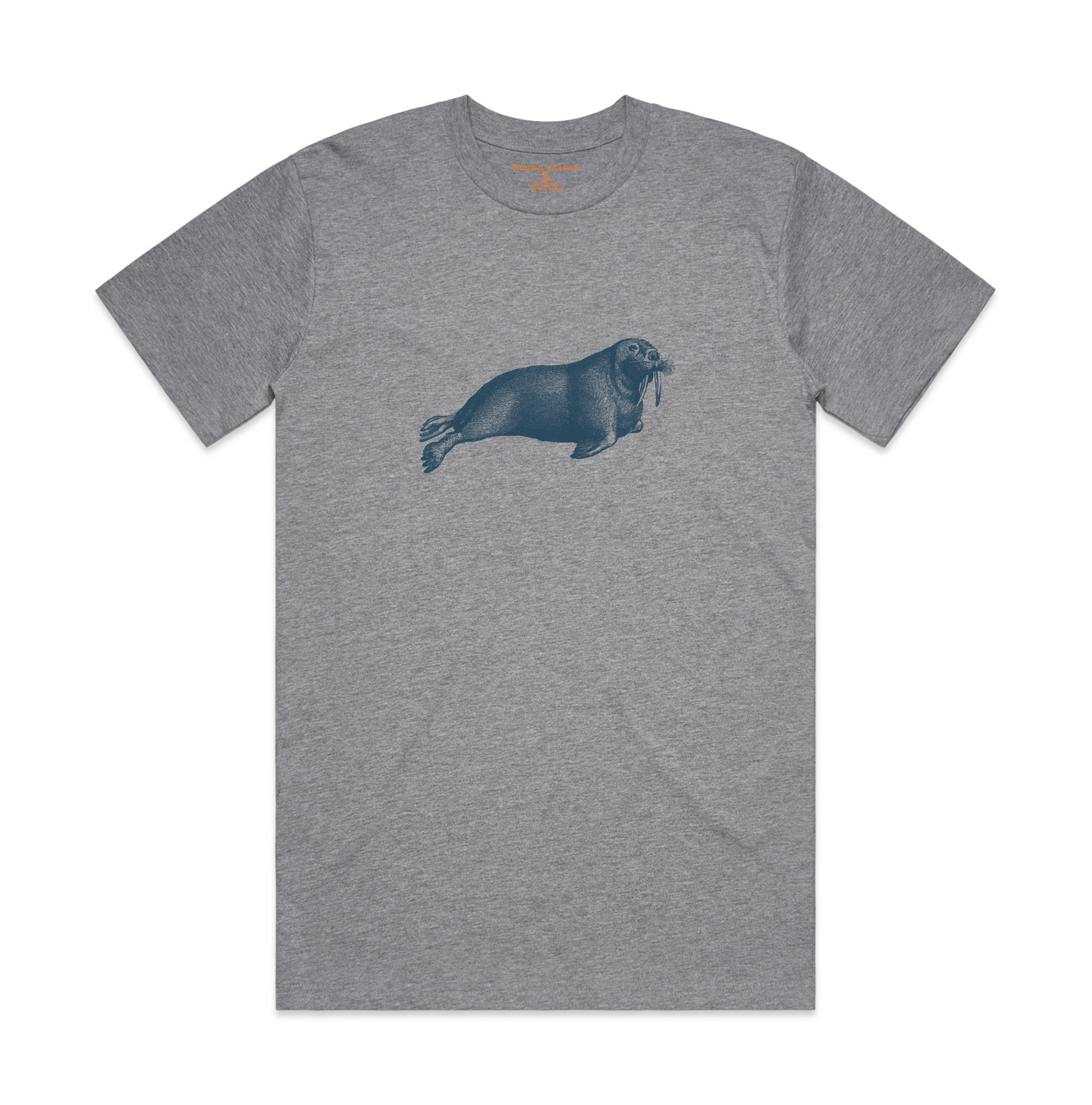 Walrus