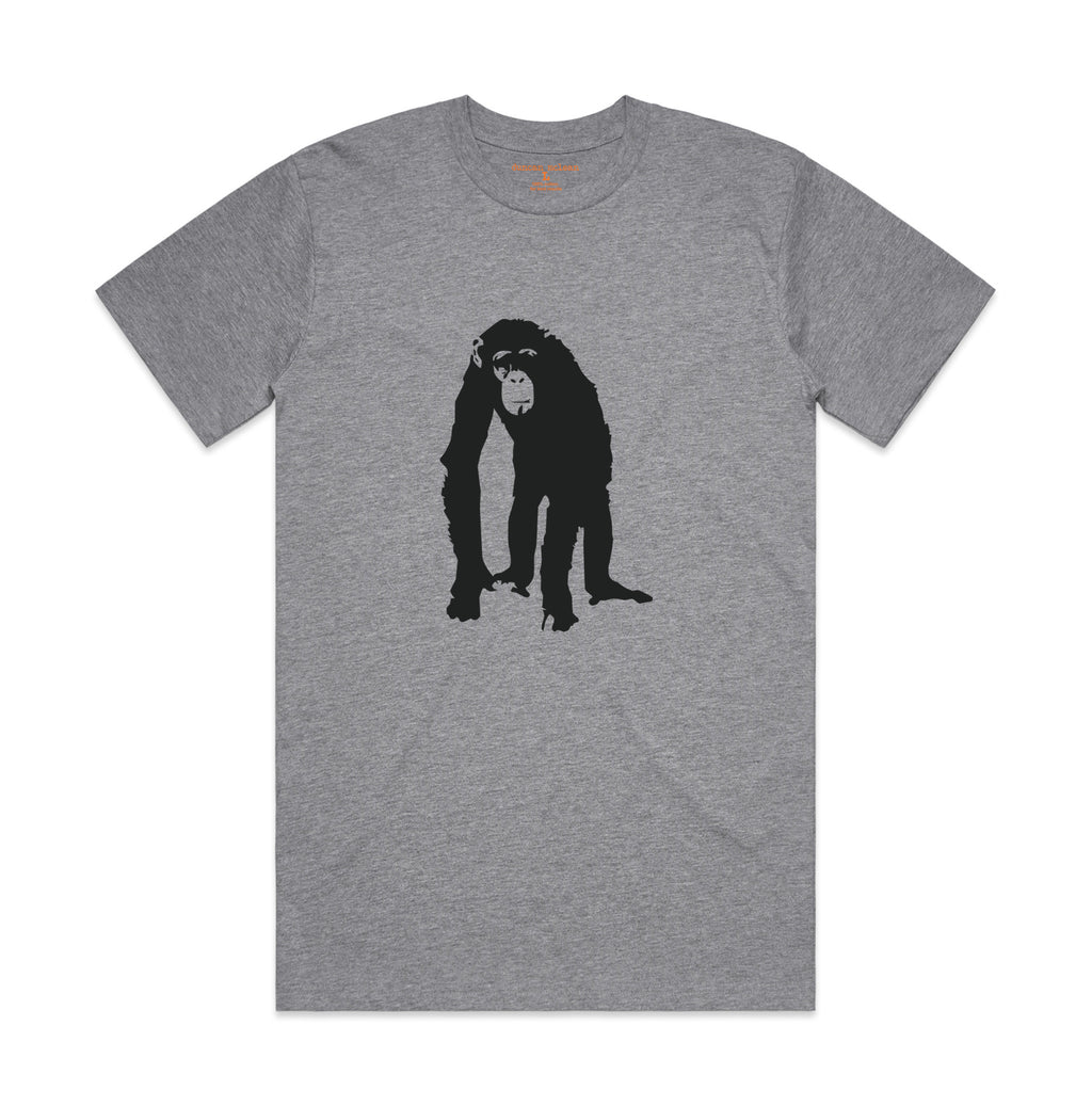Chimp