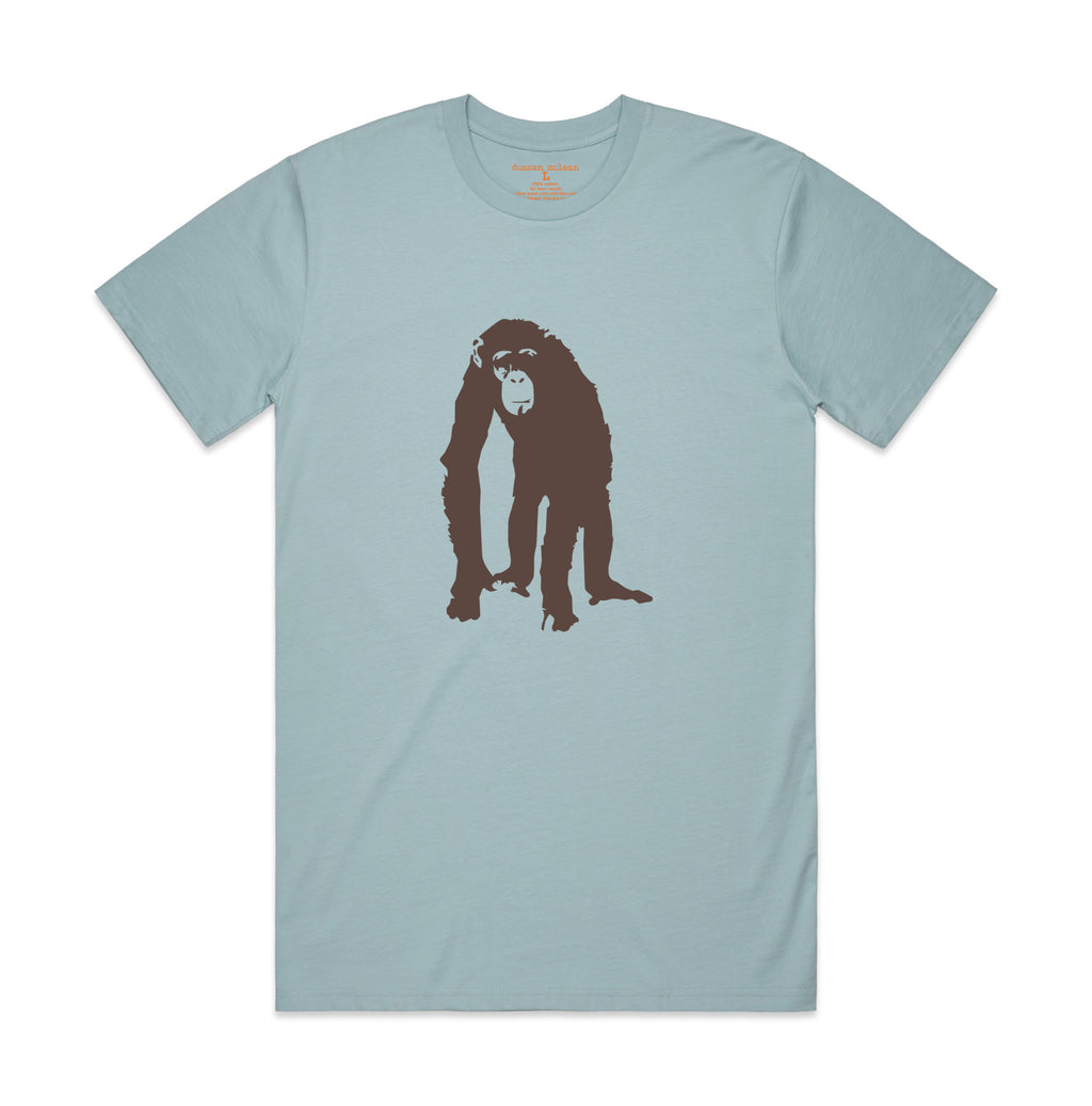 Chimp