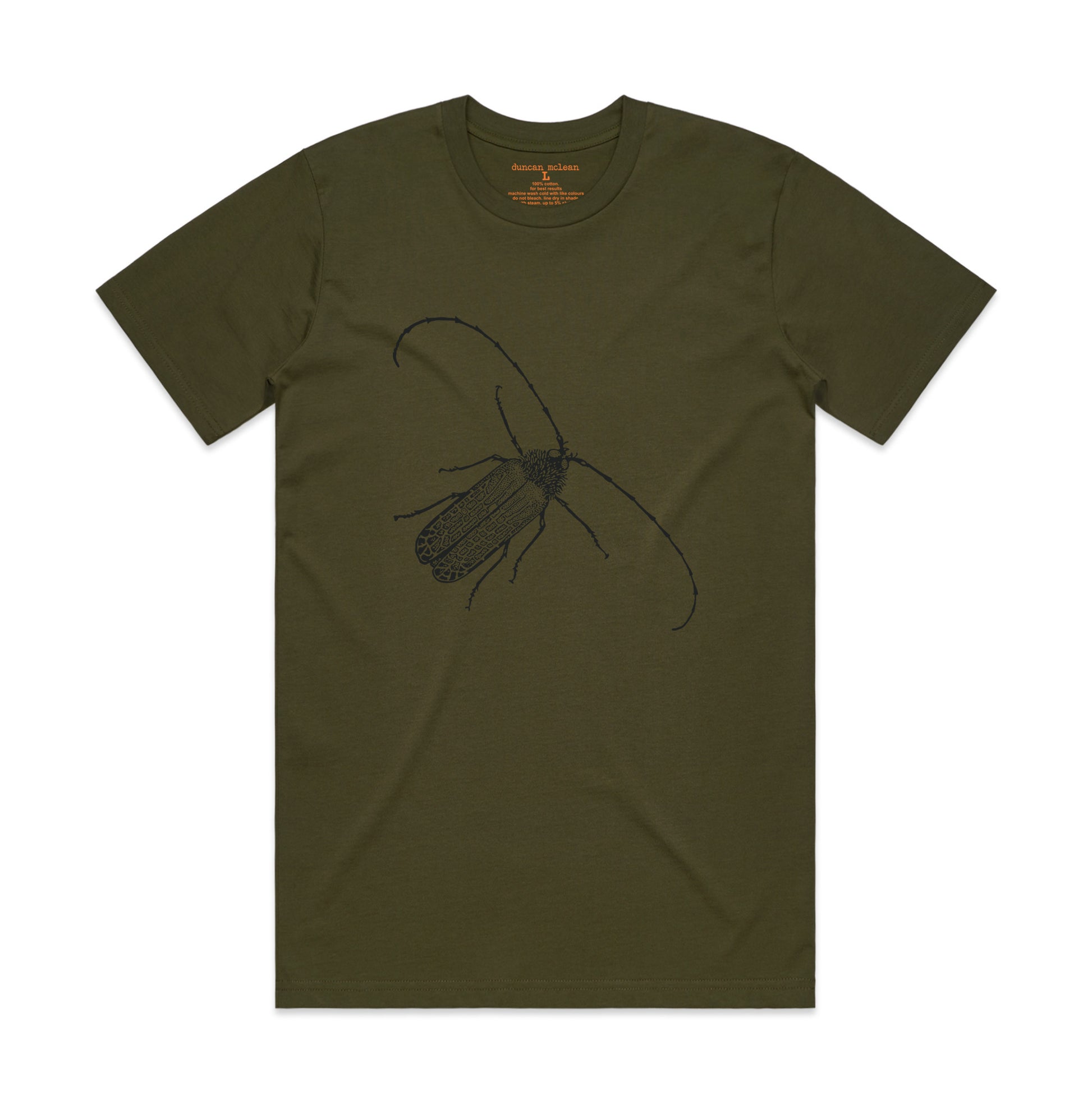 Huhu beetle