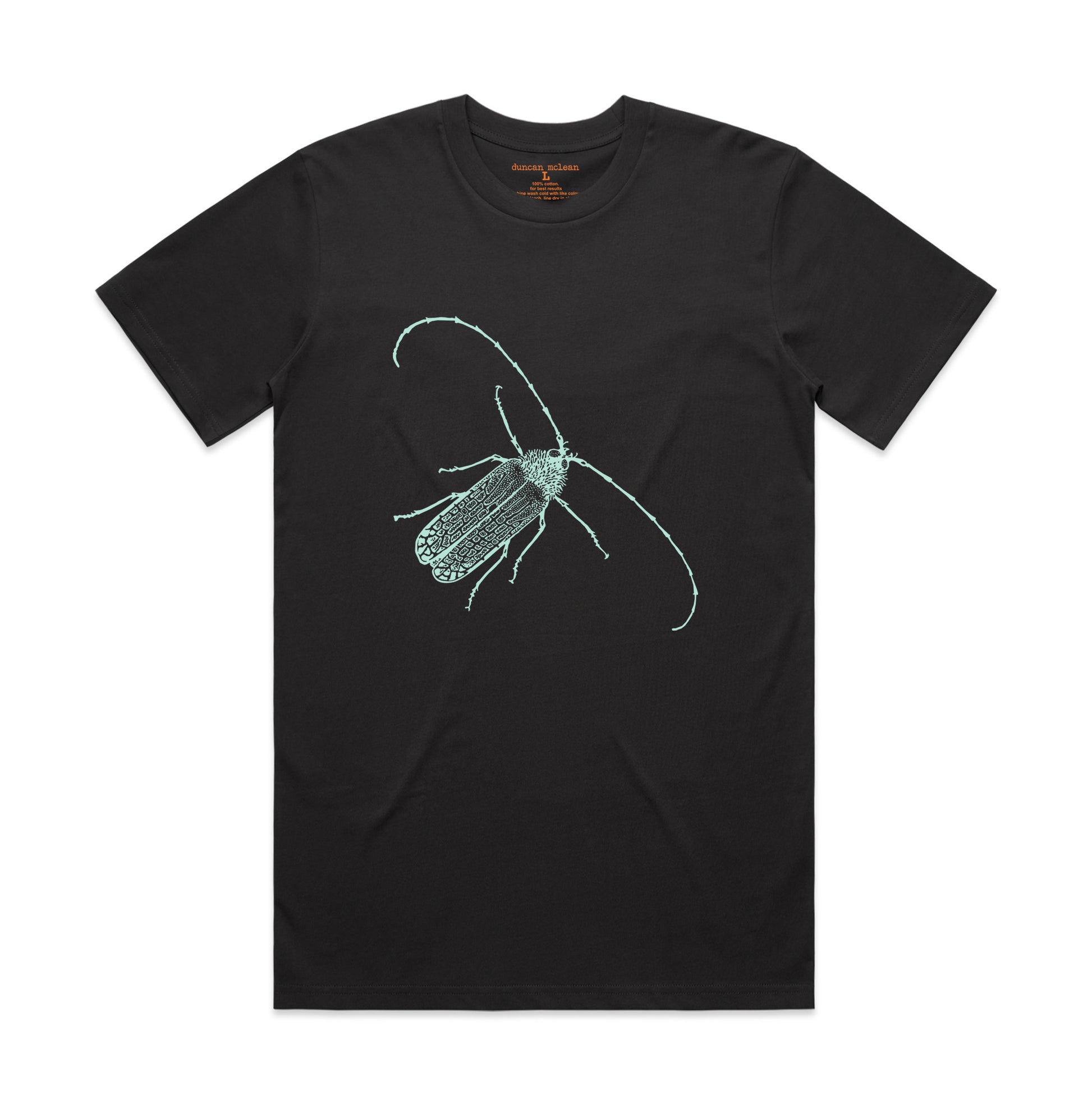 Huhu beetle