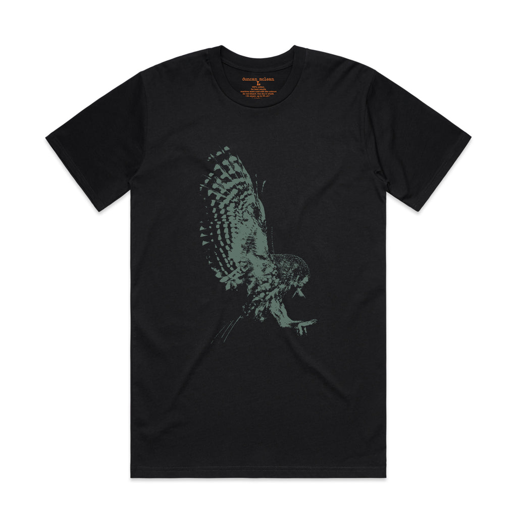 Morepork