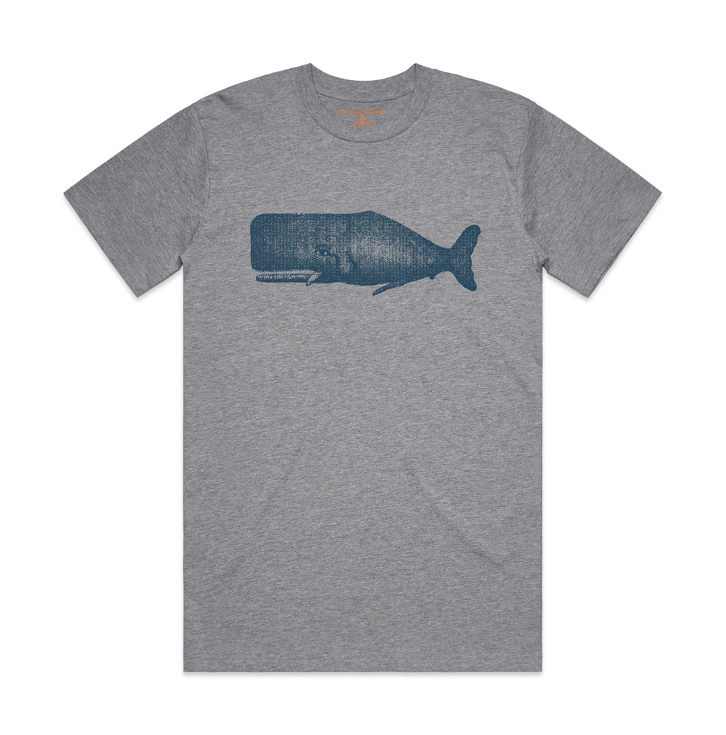 Whale